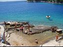 Holiday home Denis - 100 m from beach: H(11) Cove Osibova (Milna) - Island Brac  - Croatia - beach