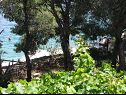Apartments Simi- peacefull and seaview A1(4+1) Cove Osibova (Milna) - Island Brac  - Croatia - sea view (house and surroundings)
