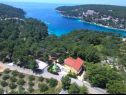 Holiday home Denis - 100 m from beach: H(11) Cove Osibova (Milna) - Island Brac  - Croatia - house