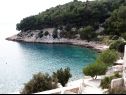 Apartments Franco - secluded paradise; A1 Ruza(2+1), A2 Lana(2+1), A3 Franceska(4+2) Cove Osibova (Milna) - Island Brac  - Croatia - beach