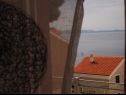 Apartments Franco - secluded paradise; A1 Ruza(2+1), A2 Lana(2+1), A3 Franceska(4+2) Cove Osibova (Milna) - Island Brac  - Croatia - Apartment - A1 Ruza(2+1): view