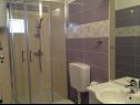 Apartments Franco - secluded paradise; A1 Ruza(2+1), A2 Lana(2+1), A3 Franceska(4+2) Cove Osibova (Milna) - Island Brac  - Croatia - Apartment - A3 Franceska(4+2): bathroom with toilet