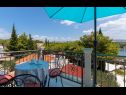 Apartments Dalis - open swimming pool: A1 kat(4+1), A2 prizemlje(4) Cove Osibova (Milna) - Island Brac  - Croatia - Apartment - A1 kat(4+1): terrace