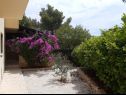 Apartments Deni - 70m from beach: A1(4+1) Cove Osibova (Milna) - Island Brac  - Croatia - courtyard