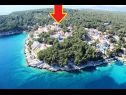 Apartments Deni - 70m from beach: A1(4+1) Cove Osibova (Milna) - Island Brac  - Croatia - house