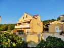 Apartments Ivano - 20 m from Sea: A1(6), A2(2+1), A3(2+1), A4(2), A5(4) Cove Osibova (Milna) - Island Brac  - Croatia - house
