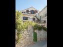 Apartments Kate - with large terrace : A1(6) Postira - Island Brac  - house