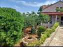 Holiday home Lumos - panoramic view & olive garden: H(10) Postira - Island Brac  - Croatia - greenery