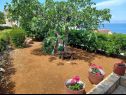 Holiday home Lumos - panoramic view & olive garden: H(10) Postira - Island Brac  - Croatia - garden