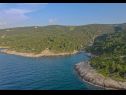 Holiday home Irena - secluded paradise; H(4+1) Cove Prapatna (Pucisca) - Island Brac  - Croatia - vegetation (house and surroundings)