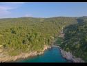 Holiday home Irena - secluded paradise; H(4+1) Cove Prapatna (Pucisca) - Island Brac  - Croatia - vegetation