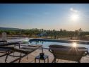 Holiday home Diana - pool and terrace: H(4+1) Pucisca - Island Brac  - Croatia - swimming pool