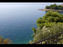 Apartments and rooms Ref - 20 m from sea : 1 - A1(4+1), 2 - A2(4), 3 - R1(2), 4 - R2(2) Cove Puntinak (Selca) - Island Brac  - Croatia - Room - 3 - R1(2): terrace view