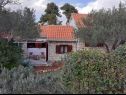 Holiday home Olive - 150 m from sea: H(4) Splitska - Island Brac  - Croatia - house