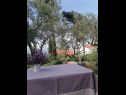 Holiday home Olive - 150 m from sea: H(4) Splitska - Island Brac  - Croatia - H(4): terrace view