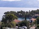 Holiday home Rose - seaview, garden & BBQ: H(8) Splitska - Island Brac  - Croatia - view (house and surroundings)