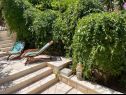Holiday home Rose - seaview, garden & BBQ: H(8) Splitska - Island Brac  - Croatia - garden terrace