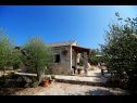 Holiday home Toni - luxurious and fully equipped: H(4+1) Supetar - Island Brac  - Croatia - vegetation (house and surroundings)