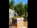Holiday home Toni - luxurious and fully equipped: H(4+1) Supetar - Island Brac  - Croatia - vegetation (house and surroundings)