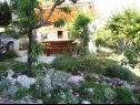 Apartments Ana - 50m from Sea: A3(4+1) Supetar - Island Brac  - garden (house and surroundings)