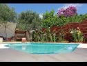 Holiday home Silvia - open pool: H(10) Supetar - Island Brac  - Croatia - swimming pool