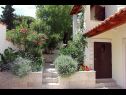 Holiday home Silvia - open pool: H(10) Supetar - Island Brac  - Croatia - courtyard