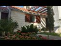 Holiday home Ivi - 100 m from sea: H(3) Supetar - Island Brac  - Croatia - house