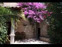 Holiday home Davor - relaxing and great location house : H(7+2) Sutivan - Island Brac  - Croatia - house