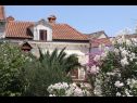 Holiday home Davor - relaxing and great location house : H(7+2) Sutivan - Island Brac  - Croatia - house