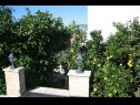 Apartments Anda - sea view: B1(4+1), B2(4), C(4+1) Mastrinka - Island Ciovo  - greenery (house and surroundings)