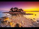 Holiday home Zdravko - sea view & peaceful nature: H(10+3) Brsecine - Riviera Dubrovnik  - Croatia - beach