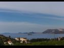 Apartments Ante - with pool: A1(6+2), SA2(2), A3(2+2), SA4(2) Cavtat - Riviera Dubrovnik  - vegetation