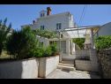 Apartments and rooms Andri - 100m from sea: A1 Andrea(2+2), A2 Nika(2) Dubrovnik - Riviera Dubrovnik  - house