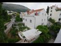 Apartments and rooms Andri - 100m from sea: A1 Andrea(2+2), A2 Nika(2) Dubrovnik - Riviera Dubrovnik  - house