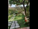 Rooms Garden - with a view: R1(2) Dubrovnik - Riviera Dubrovnik  - courtyard