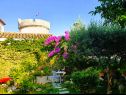 Rooms Garden - with a view: R1(2) Dubrovnik - Riviera Dubrovnik  - house