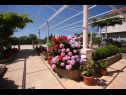 Apartments and rooms Nikola1 - free parking SA1(2+2), A5(3+1), A6(4), A8(5), R4(2), R7(2+1) Mlini - Riviera Dubrovnik  - garden