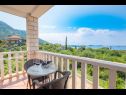 Apartments and rooms Villa Bouganvillea - sea view & garden: A1 Deluxe (2+1), A2 Superior (2+1), A3 Comfort (2+1), A4 Premium (2+1), R1 Deluxe (2), R2 Comfort (2) Mlini - Riviera Dubrovnik  - Apartment - A2 Superior (2+1): terrace view