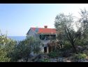Apartments Iva - with nice view: A1(2+2) Molunat - Riviera Dubrovnik  - house