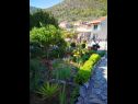 Apartments Silverija - garden and parking: SA1(2+1), SA2(2), SA3(2), SA4(2) Trsteno - Riviera Dubrovnik  - garden