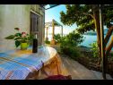Apartments Dia - 30 m from sea: A1(2+2), SA-D1(2), SA-G1(2) Zaton (Dubrovnik) - Riviera Dubrovnik  - Studio apartment - SA-D1(2): terrace
