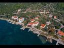 Apartments Tara - 70 m from beach: SA2 rozi(2), SA3 plavi(2) Brbinj - Island Dugi otok  - vegetation (house and surroundings)