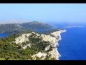 Holiday home Nature park - relaxing and comfortable: H(4) Telascica - Island Dugi otok  - Croatia - vegetation (house and surroundings)