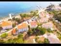 Apartments Marin - 30 m from sea : A1(4) Verunic - Island Dugi otok  - vegetation (house and surroundings)