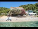 Apartments Mateo - by the beach; A1 Delia(5), A2 Mateo(4), A3 Mini(3+2) Cove Skozanje (Gdinj) - Island Hvar  - Croatia - house