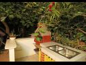 Holiday home Zeljko - with nice garden: H(5) Sucuraj - Island Hvar  - Croatia - summer kitchen