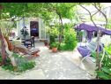 Holiday home Zeljko - with nice garden: H(5) Sucuraj - Island Hvar  - Croatia - house