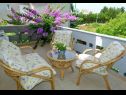 Holiday home Zeljko - with nice garden: H(5) Sucuraj - Island Hvar  - Croatia - H(5): terrace