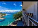 Apartments Sea View - 7 m from beach: A1(5+2) Cove Zarace (Gdinj) - Island Hvar  - Croatia - Apartment - A1(5+2): sea view (house and surroundings)