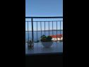 Apartments Jela - terrace and sea view A1(4+2) Zavala - Island Hvar  - Apartment - A1(4+2): view